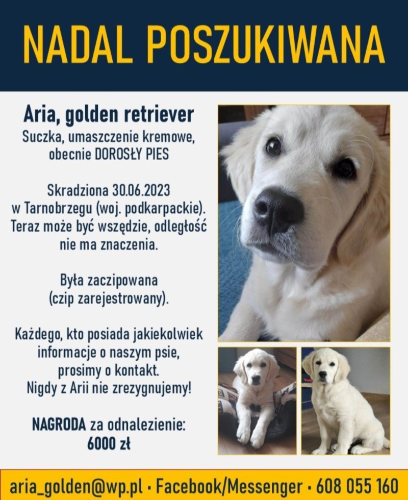 Zdjęcie zaginionego zwierzaka nr 1