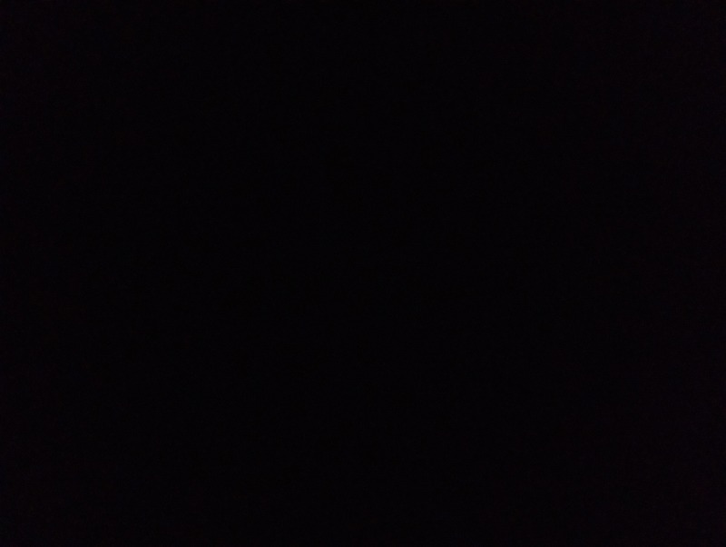 Zdjęcie zaginionego zwierzaka nr 9