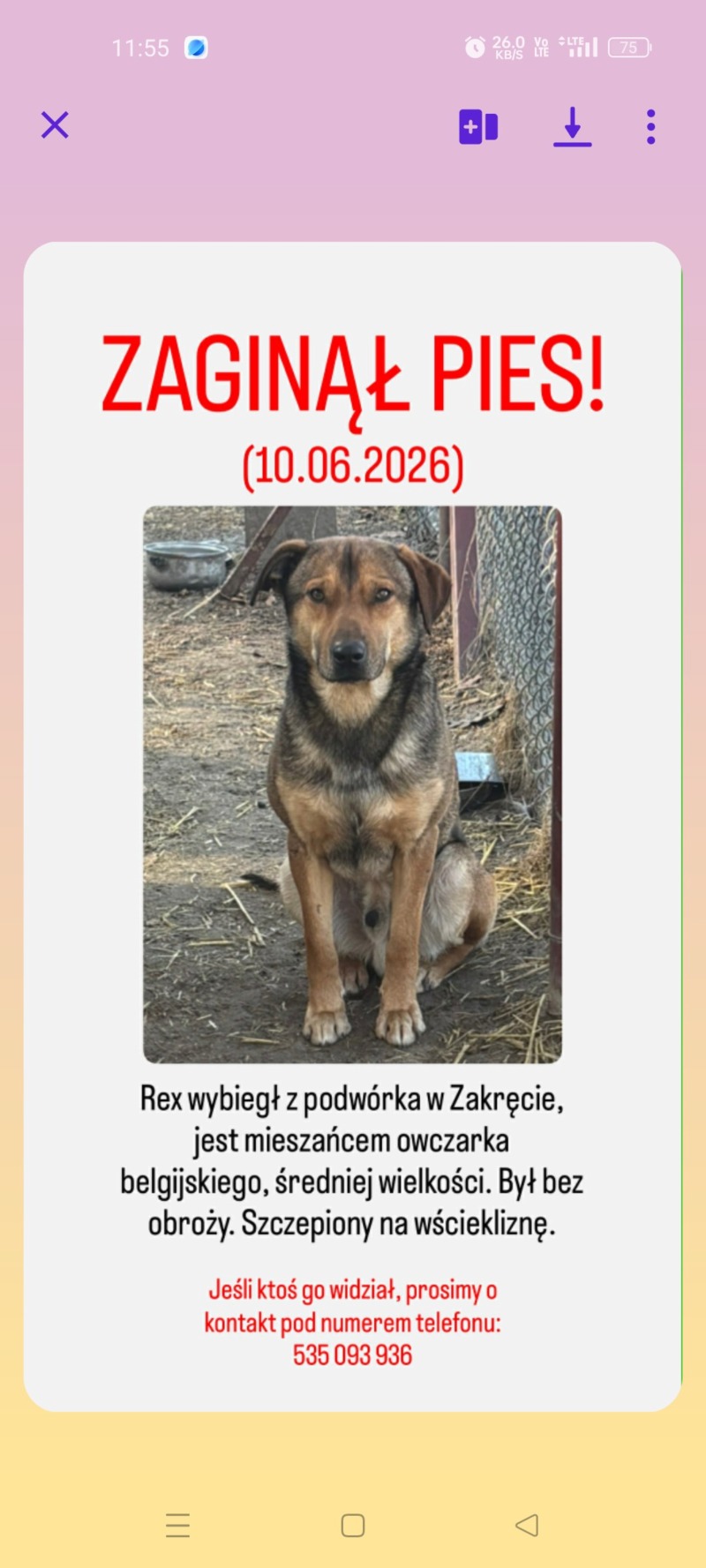 Zdjęcie zaginionego zwierzaka nr 3
